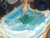 laminace infuzí sika biresin epolam