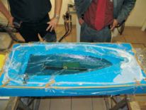 laminace infuzí sika biresin epolam od ACR Czech